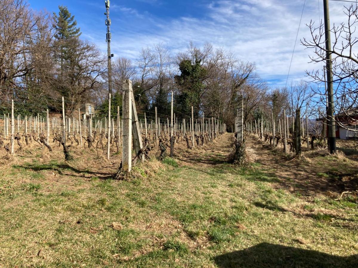 Appartamento Di Vacanza Tra I Vigneti Ponte Cremenaga Buitenkant foto