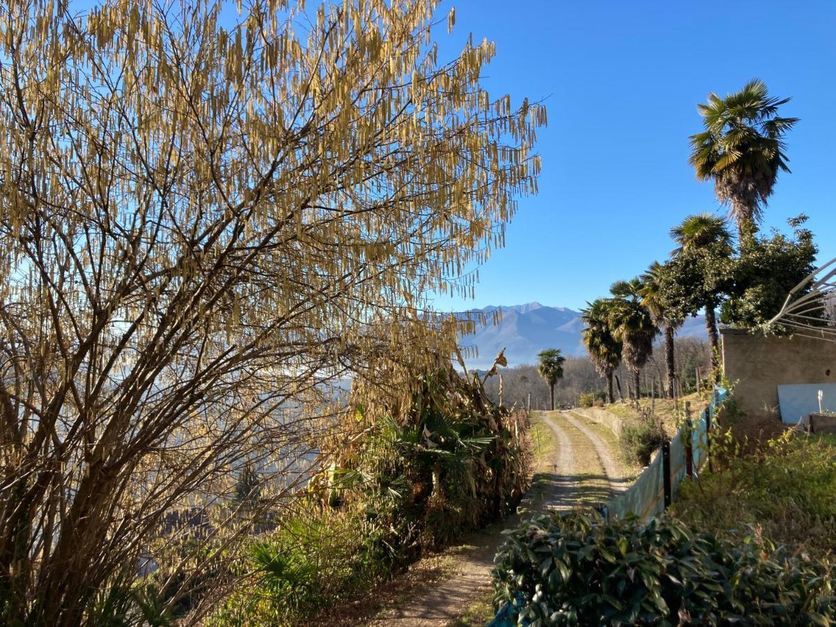 Appartamento Di Vacanza Tra I Vigneti Ponte Cremenaga Buitenkant foto