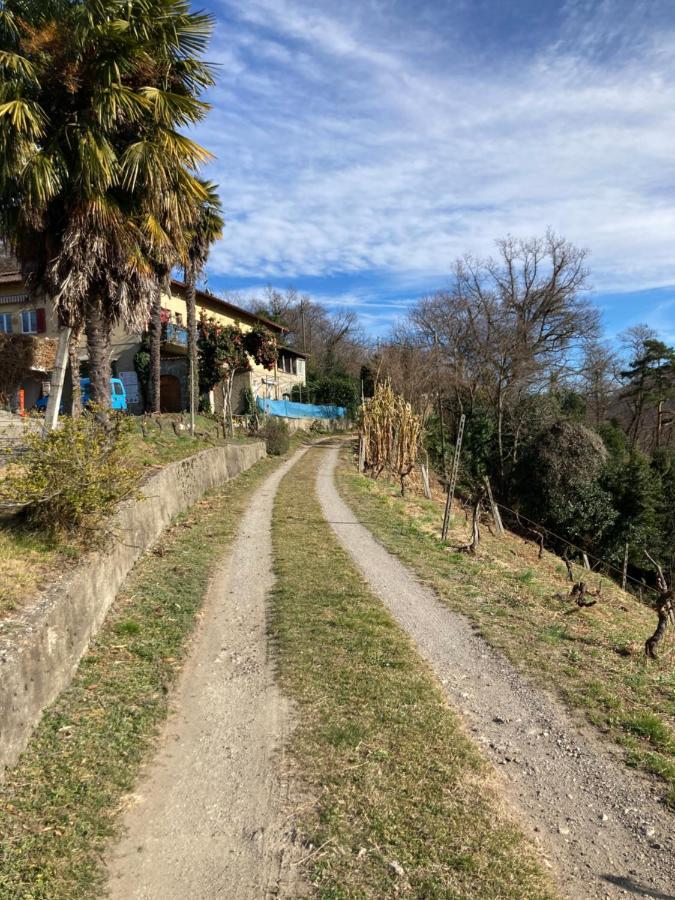 Appartamento Di Vacanza Tra I Vigneti Ponte Cremenaga Buitenkant foto