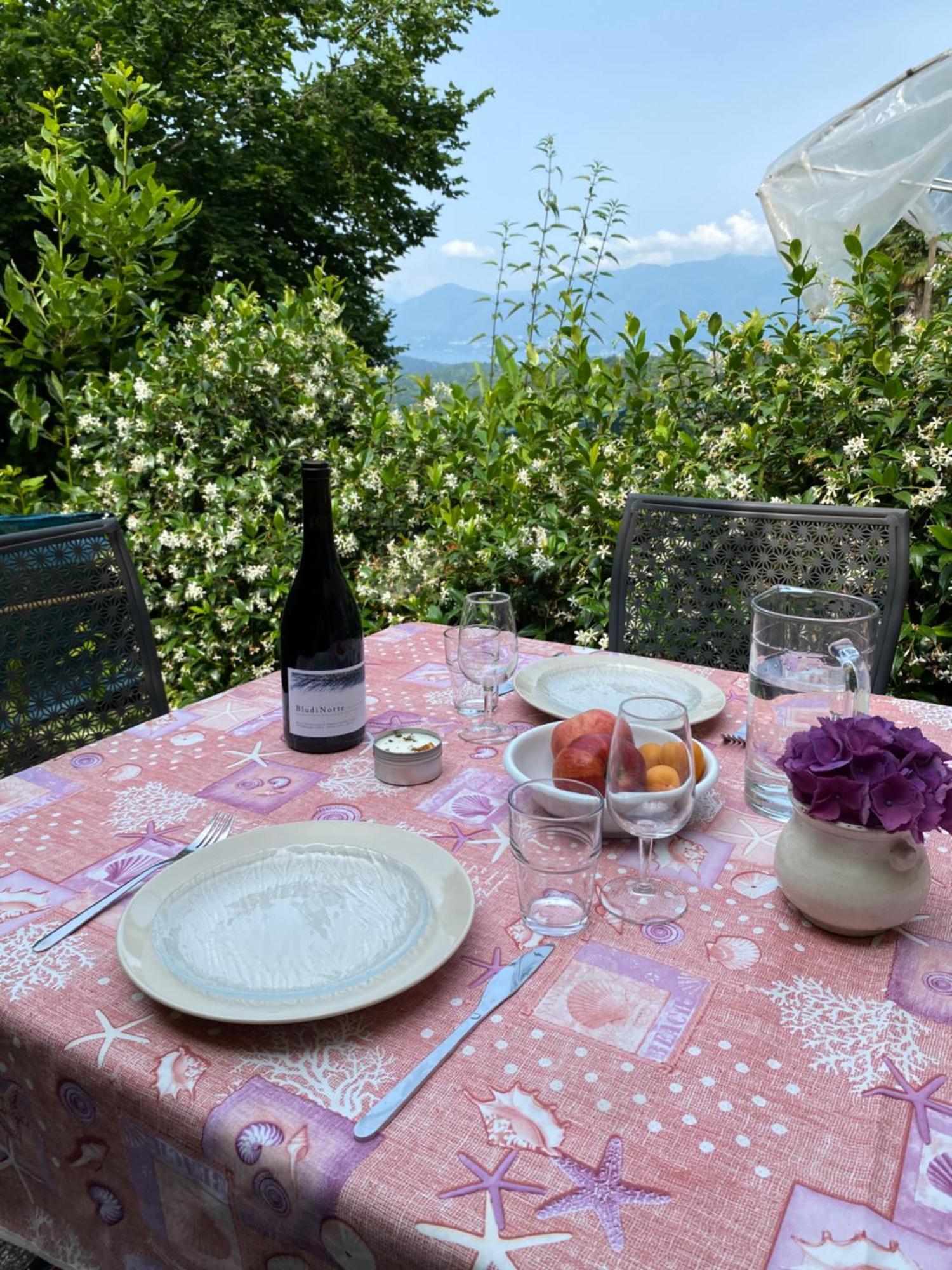 Appartamento Di Vacanza Tra I Vigneti Ponte Cremenaga Buitenkant foto